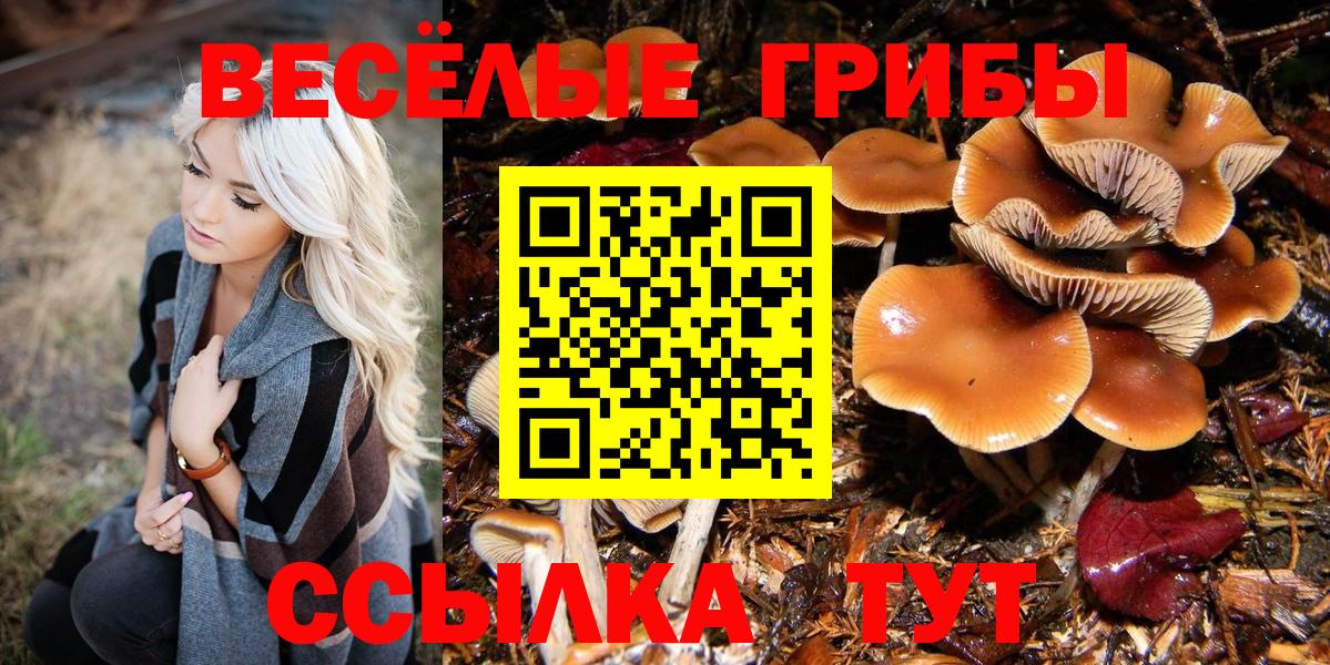 наркотики  Вход с VPN  Тулун  Псилоцибиновые грибы мицелий  Галлюциногенные грибы Psilocybe 